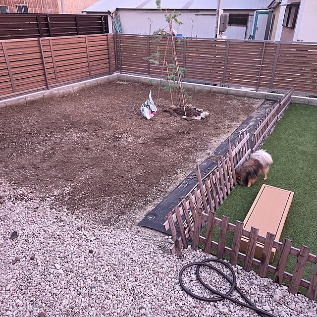 avovo7さんの部屋