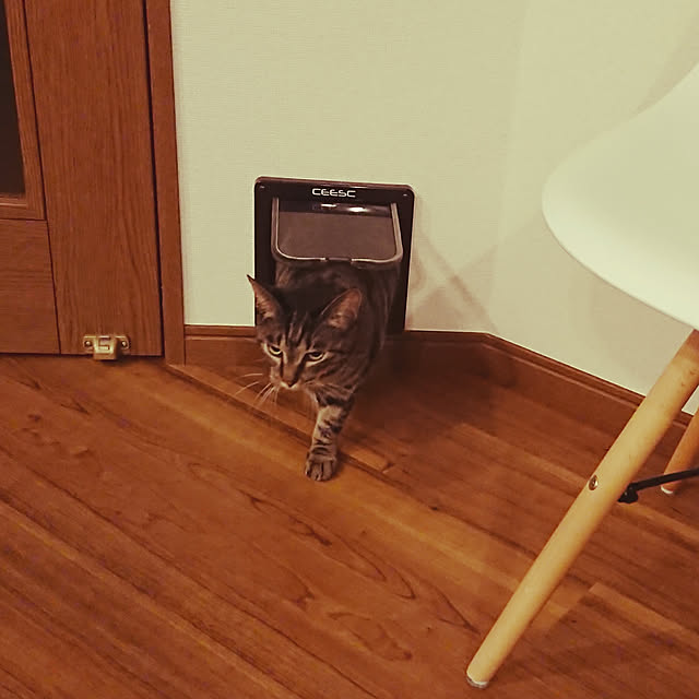 taka-kiさんの実例写真