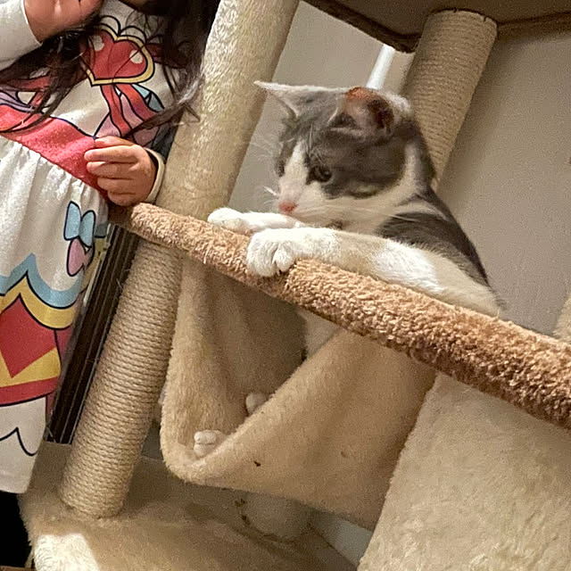 nekosamaさんの部屋