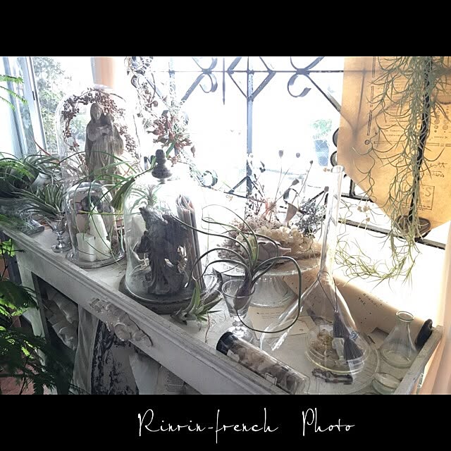 Rinrinfrenchさんの実例写真