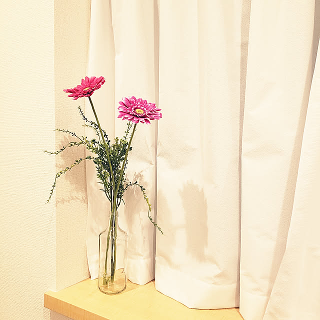 sanoaさんの実例写真