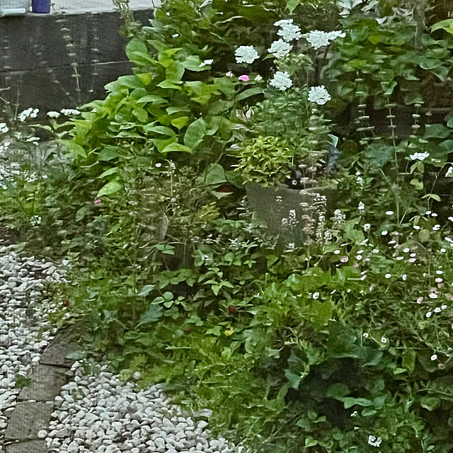 cotaさんの部屋