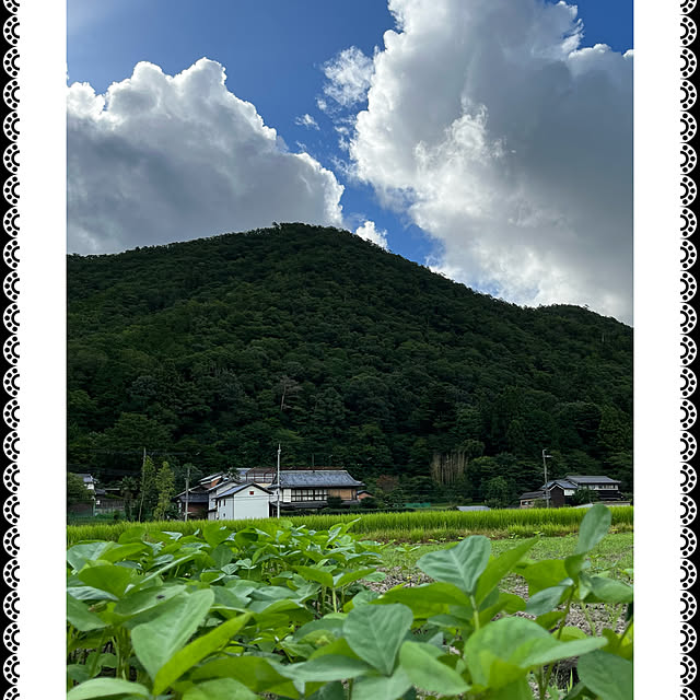 実例写真