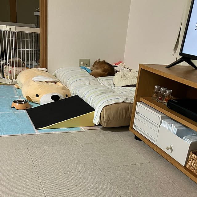 koroさんの部屋