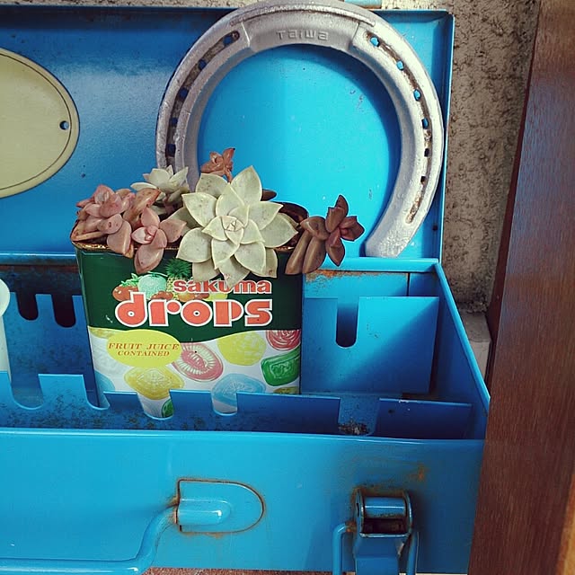 yumifuuさんの実例写真
