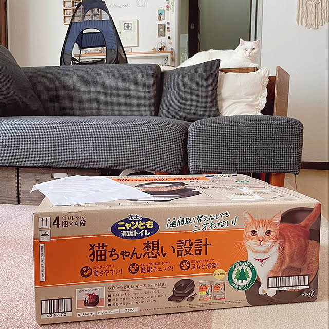 kotoriさんの実例写真