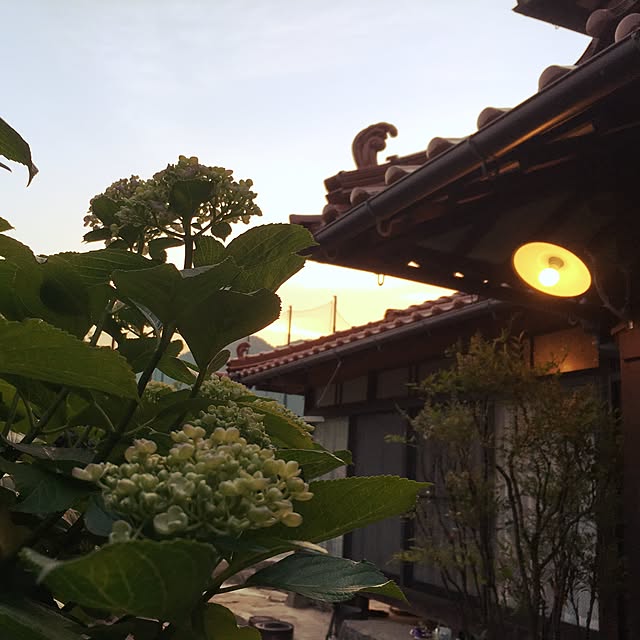 Y0206さんの実例写真