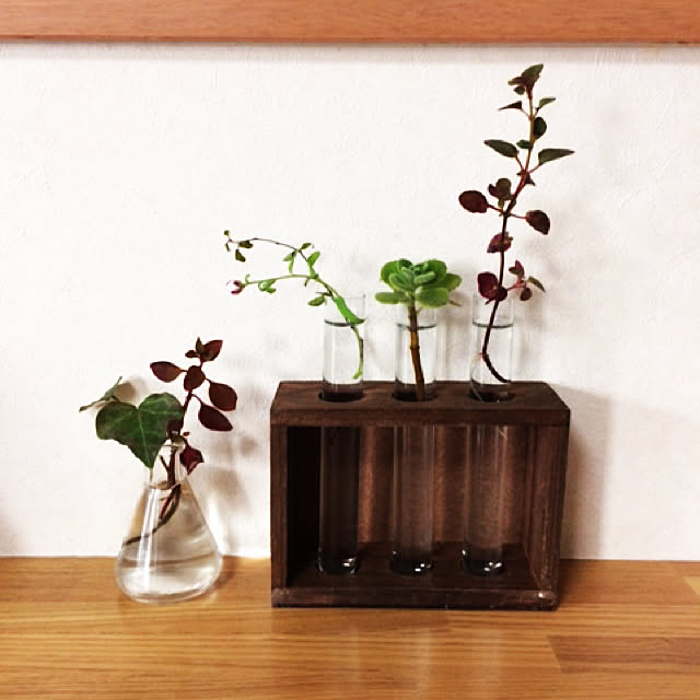 tudukiさんの実例写真