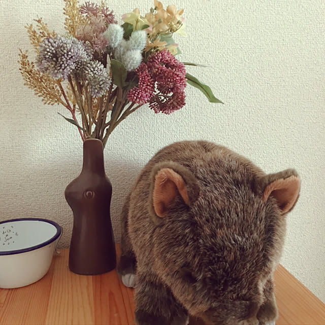 nicoさんの実例写真