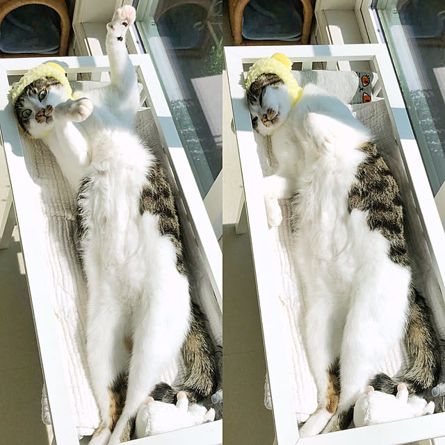 yuchiさんの実例写真