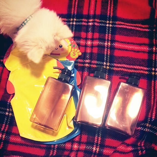 Reinaさんの実例写真