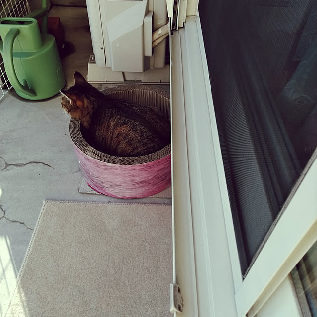 lilyさんの実例写真