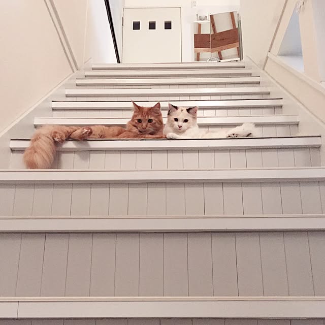 mokkoさんの実例写真