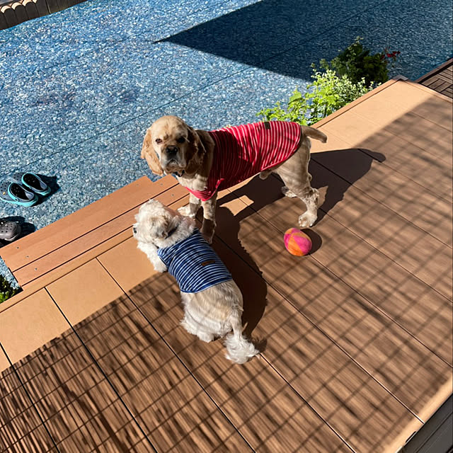 emiさんの実例写真