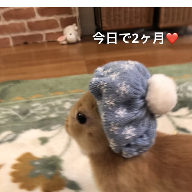 pikarunさんの実例写真