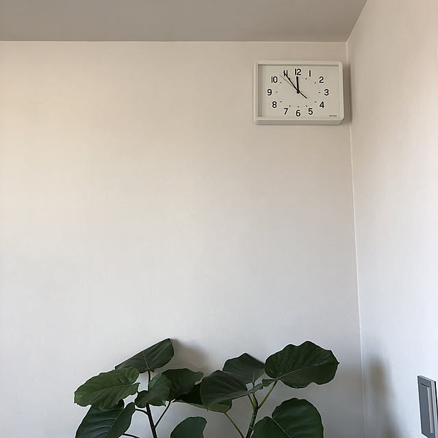 ___.emohさんの実例写真