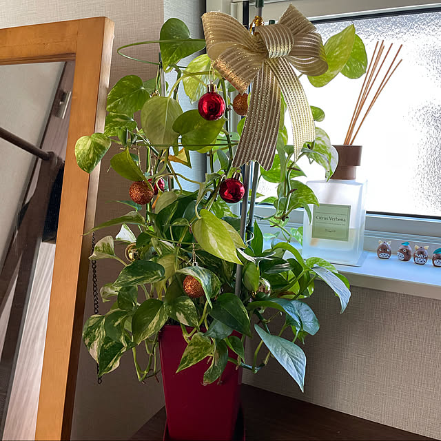akiさんの実例写真