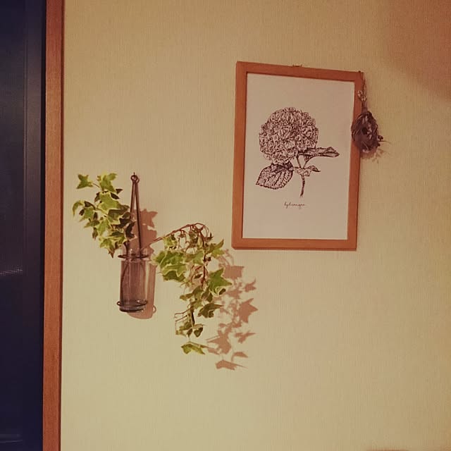 shihoさんの実例写真