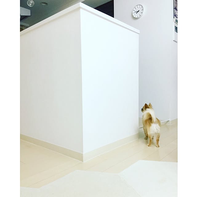 haruhinaさんの実例写真