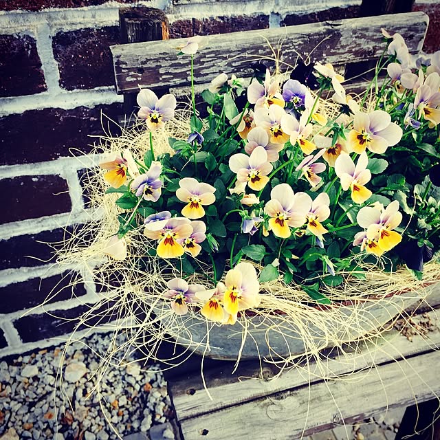 omura_timoさんの実例写真