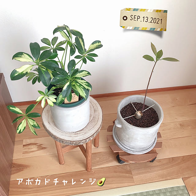 kossyさんの実例写真
