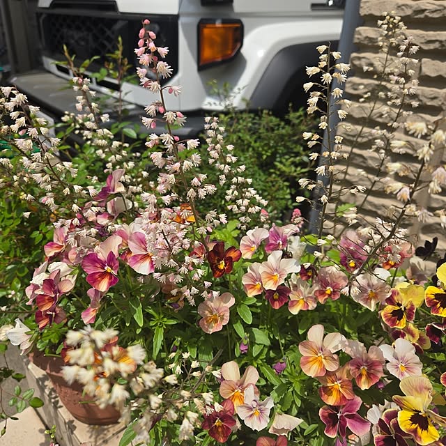 mutyukingさんの部屋