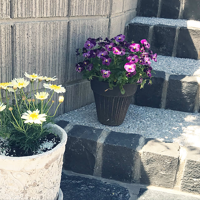 Hikarinさんの実例写真