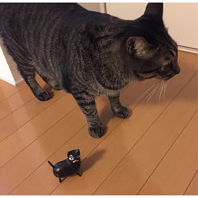 nyan.73さんの実例写真