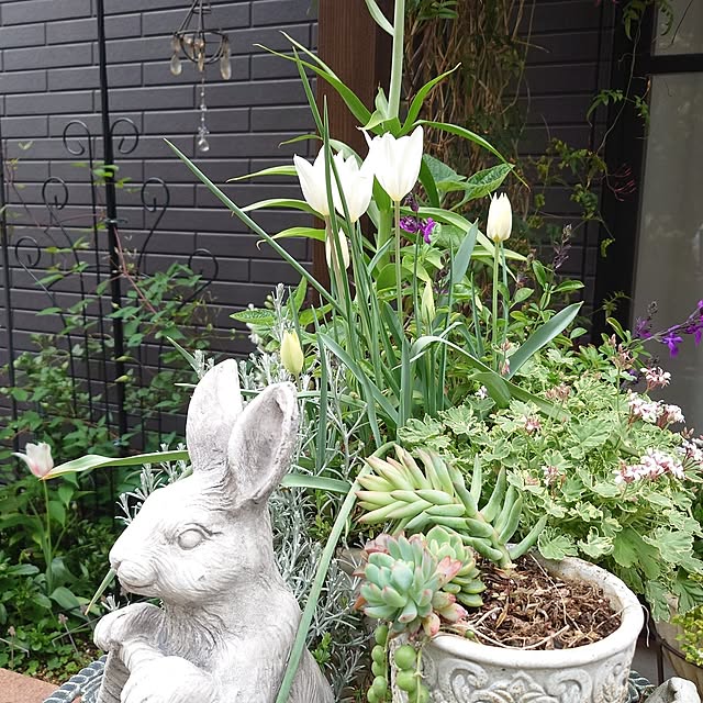 mayuroseさんの部屋