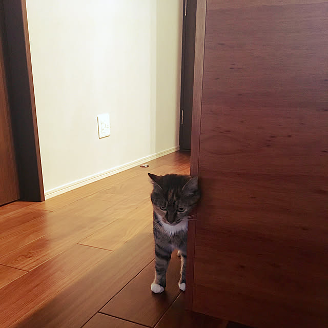 vino0414さんの実例写真