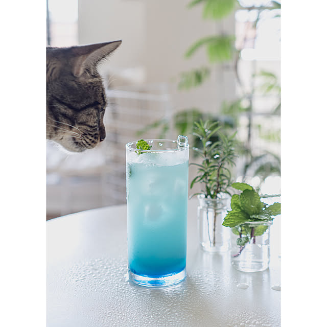 oliveさんの部屋