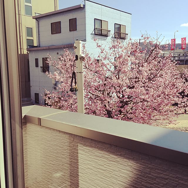 ririさんの実例写真