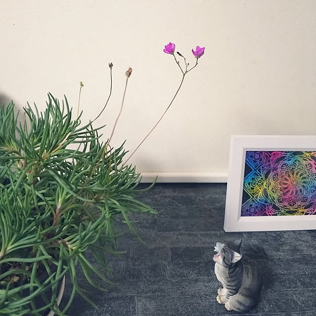 NOAHさんの部屋