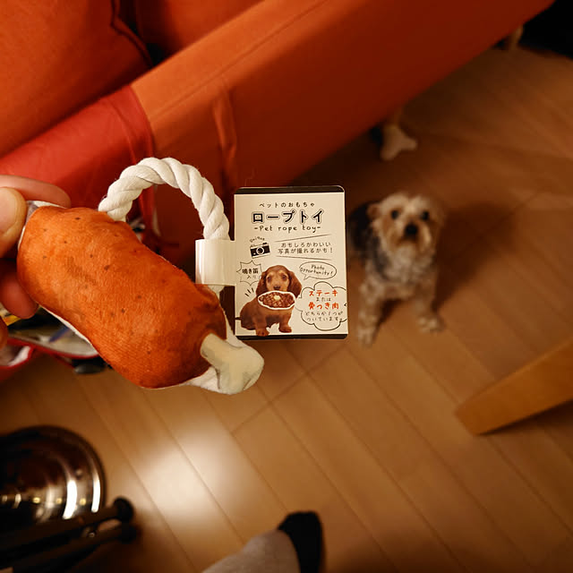 321さんの実例写真