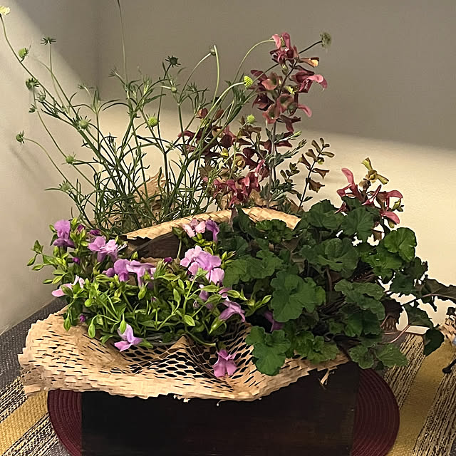 cotaさんの部屋