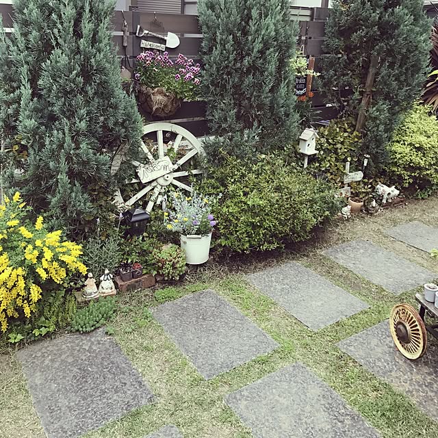 michi-michi39さんの実例写真