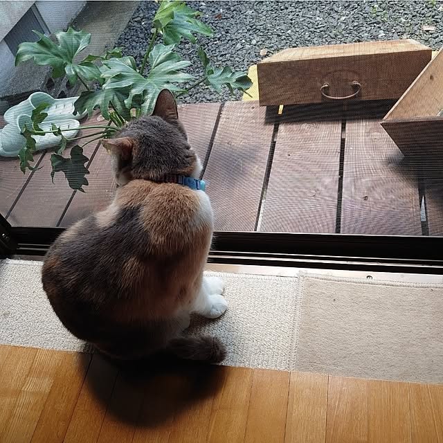 fukuさんの部屋
