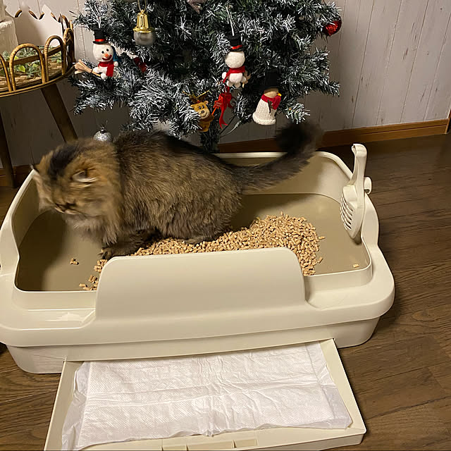xxyumexx.roomさんの実例写真
