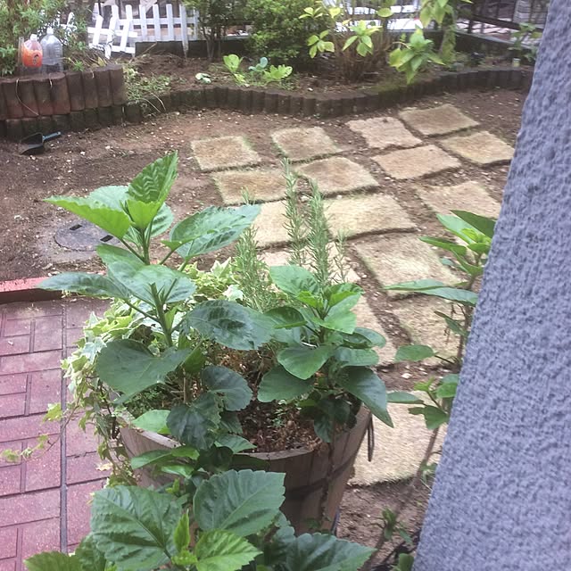 実例写真