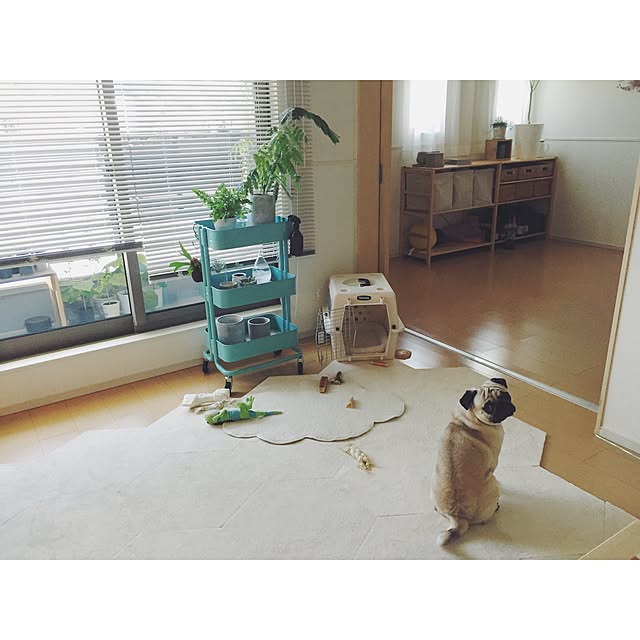 YUIさんの実例写真