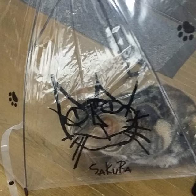 sakurahabitさんの実例写真