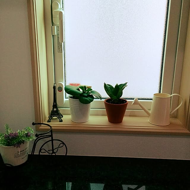 DS729hteさんの実例写真