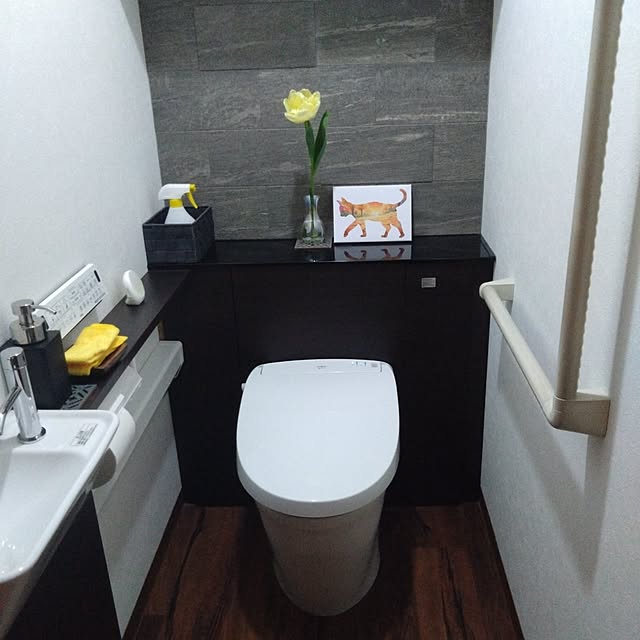 jkabmymycatさんの実例写真