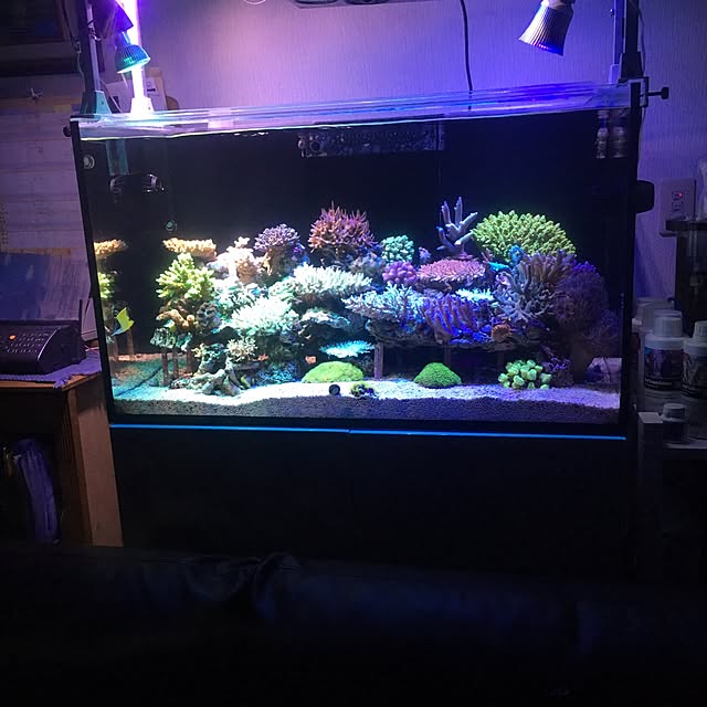 aquarium_seaさんの実例写真