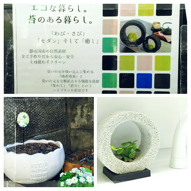 littlemomさんの実例写真