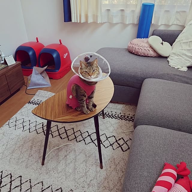 mochicoさんの実例写真