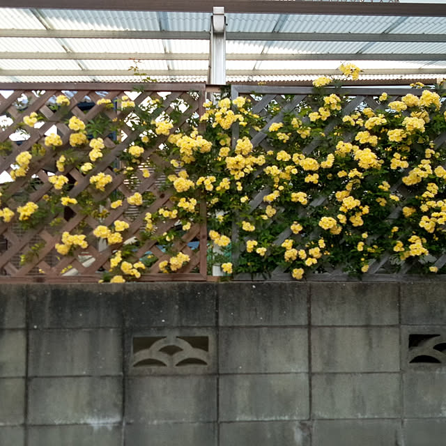 Yoshietanka3492さんの実例写真