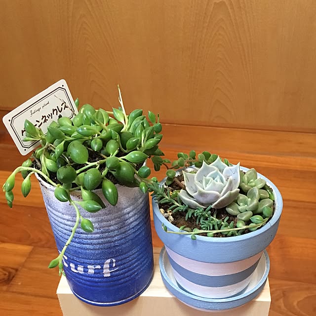 CHIROさんの実例写真