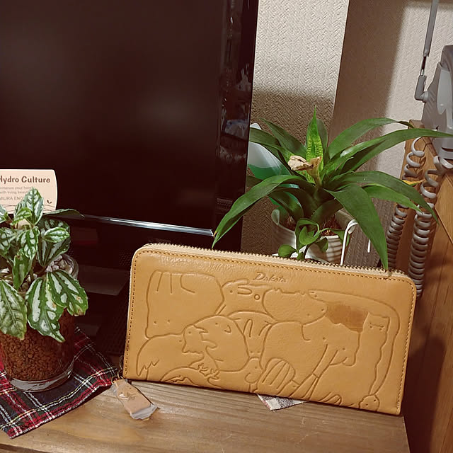 fuuchinmama519goroさんの実例写真