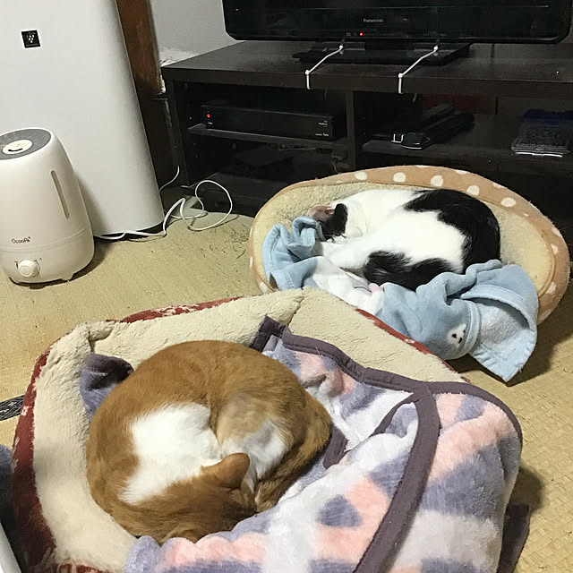 himawari123さんの実例写真